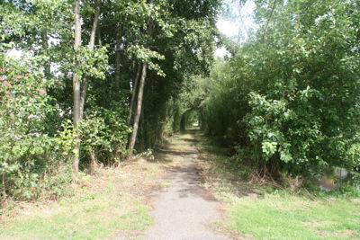 Foto 159 uit StratenBEVERWAARD