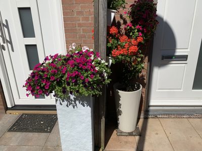 Foto 307 uit Rondje Beverwaard 2026