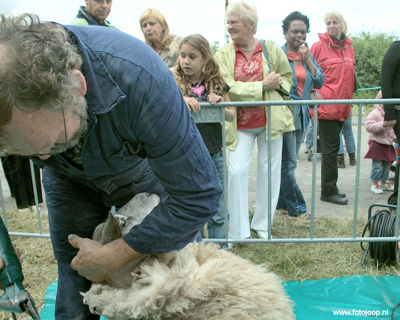 Foto 56 uit Paardenmarkt new07