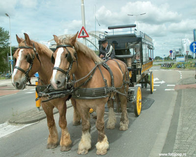 Foto 31 uit Paardenmarkt new07