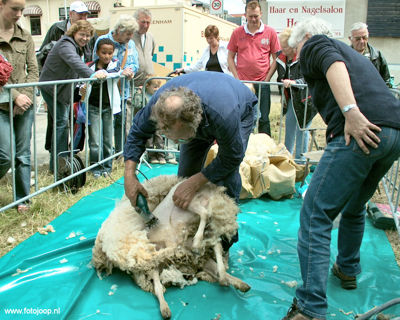 Foto 45 uit Paardenmarkt new07