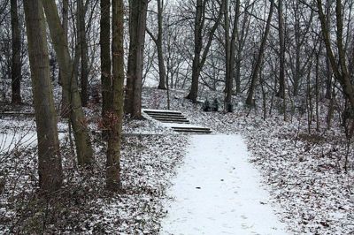 Foto 43 uit WinterIn Beverwaard