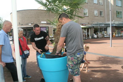 Foto 74 uit HippePlantenBakken