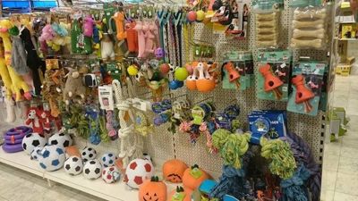 Foto 22 uit Dieren Zaak Catdox