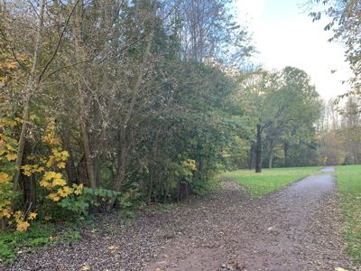 Foto 418 uit Rondje Beverwaard 2026