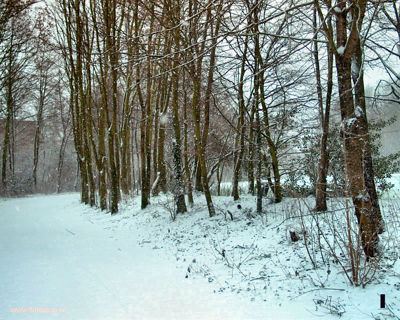 Foto 165 uit WinterIn Beverwaard