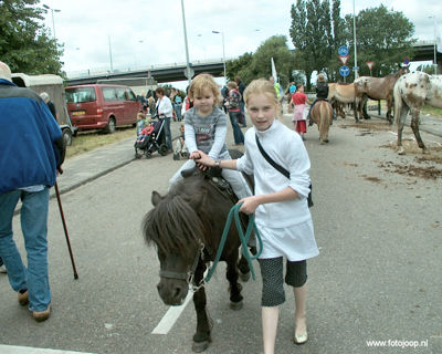 Foto 36 uit Paardenmarkt new07