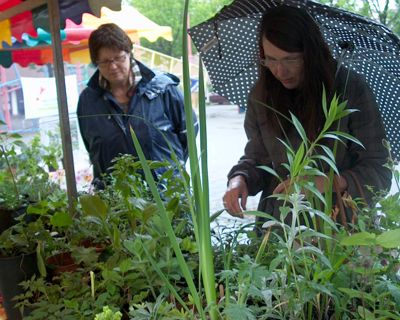 Foto 25 uit opzoomeren 29_5_8