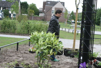 Foto 57 uit Tropische Buurttuin