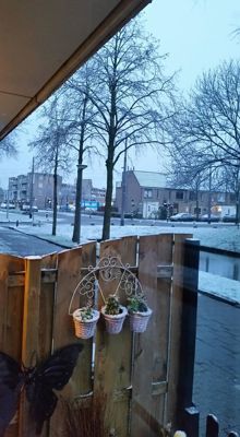 Foto 56 uit WinterIn Beverwaard