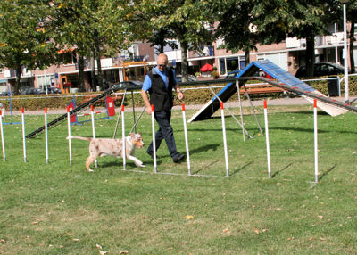 Foto 114 uit Wijkfeest12-09-2009