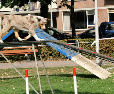 Foto 107 uit Wijkfeest12-09-2009