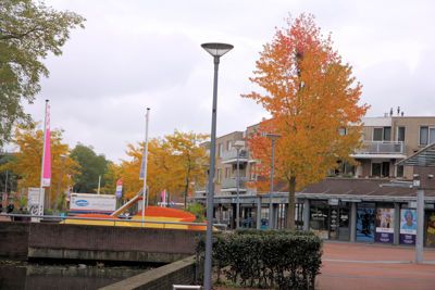 Foto 192 uit Herfst In Beverwaard