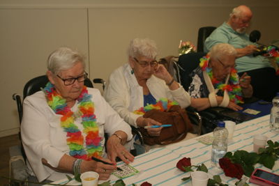 Foto 333 uit Ouderen4Daagse2017