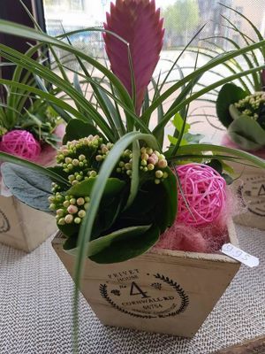 Foto 240 uit NeelyshaBloemen