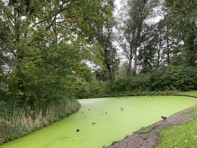 Foto 432 uit Rondje Beverwaard 2026