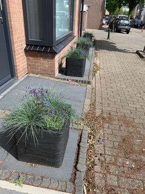 Foto 271 uit StratenBEVERWAARD