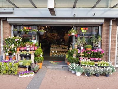 Foto 34 uit De Bloemenboetiek