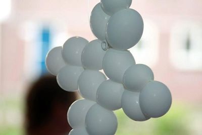 Foto 51 uit Frozen World Focus