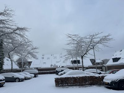 Foto 16 uit X- Sneeuw in de Beverwaard 2026