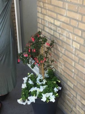 Foto 22 uit Bewonerinitiatief