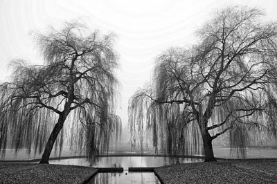 Foto 55 uit Herfst In Beverwaard