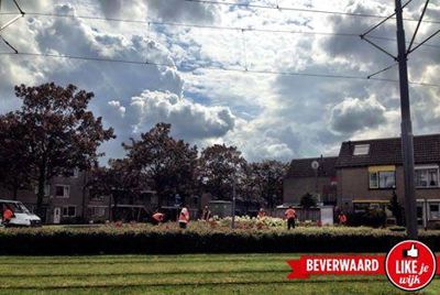 Foto 168 uit LIKEJEWIJK FOTO'S_2