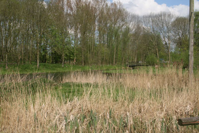 Foto 455 uit StratenBEVERWAARD