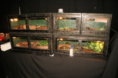 Foto 32 uit HalloWeen27-10-12