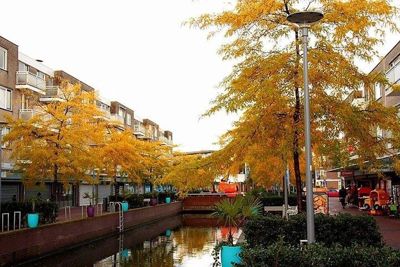 Foto 8 uit Herfst In Beverwaard