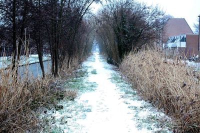 Foto 26 uit WinterIn Beverwaard