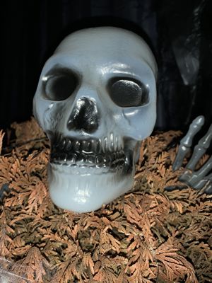 Foto 16 uit Halloween30-10-21