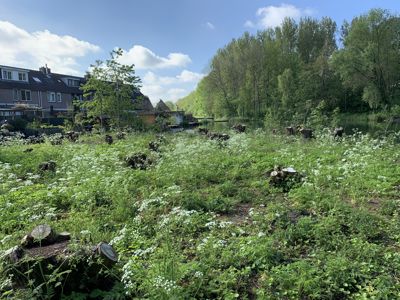 Foto 3 uit Rondje Beverwaard 2026