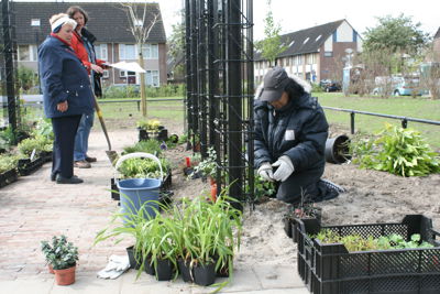 Foto 6 uit Tropische Buurttuin