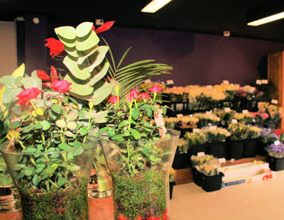 Foto 240 uit WINKELSBeverwaard