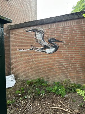 Foto 66 uit All Caps Muurschilderingen Beverwaard 2026