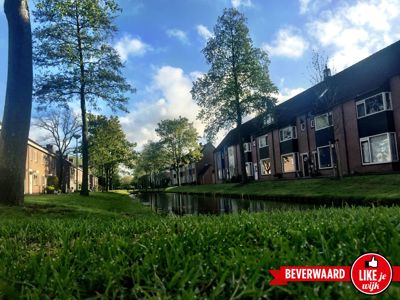 Foto 116 uit LIKEJEWIJK-2016