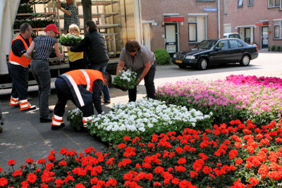 Foto 28 uit Opzoomeren20-05