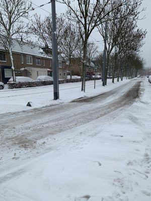 Foto 156 uit WinterIn Beverwaard