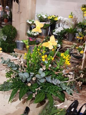 Foto 149 uit Workshops-Bloemen