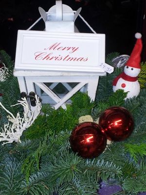 Foto 222 uit NeelyshaBloemen