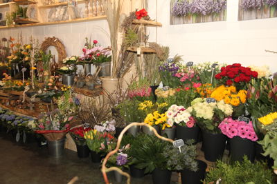 Foto 173 uit Workshops-Bloemen