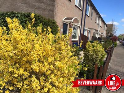 Foto 15 uit LIKEJEWIJK-2016