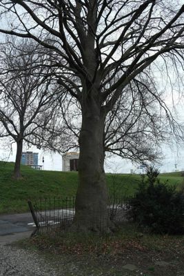 Foto 558 uit SloopEnOpbouwWIJK