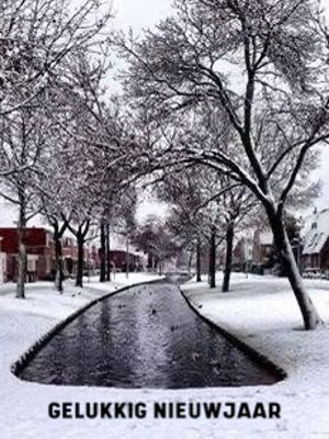 Foto 2 uit X- Sneeuw in de Beverwaard 2026