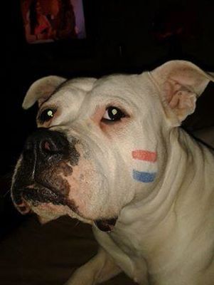 Foto 52 uit OranjeInBeverwaard