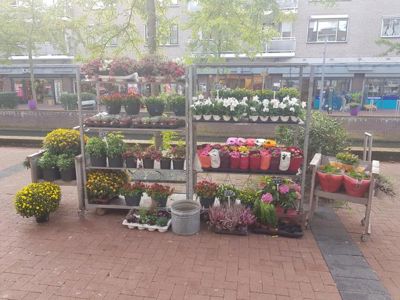 Foto 21 uit De Bloemenboetiek