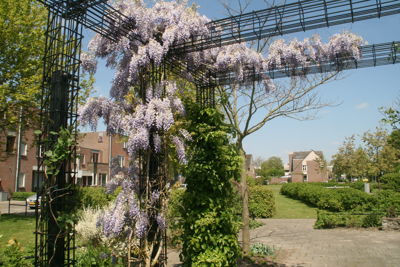 Foto 289 uit TropischeTuin 2017