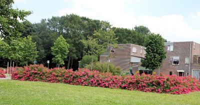 Foto 168 uit TropischeTuin 2017