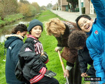 Foto 126 uit bloembollen planten